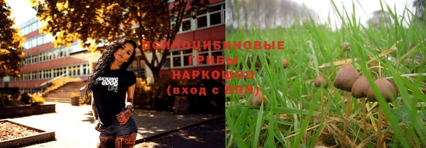 ПСИЛОЦИБИНОВЫЕ ГРИБЫ Кукмор