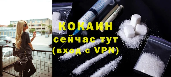 ПСИЛОЦИБИНОВЫЕ ГРИБЫ Кукмор